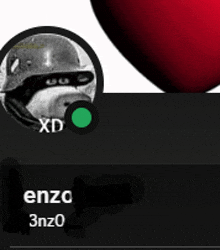 a picture of a man wearing a helmet with the name enzo on the bottom