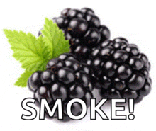 a bunch of blackberries with a green leaf and the word smoke