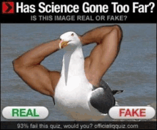 a picture of a seagull with a man 's arms behind its head with the words has science gone too far