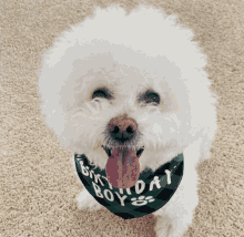 a white dog wearing a birthday boy bandana with its tongue out