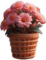 a wicker basket filled with pink flowers has the word olga on it