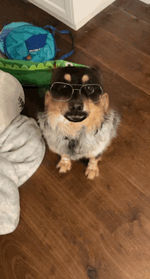 a dog wearing sunglasses and a fur coat