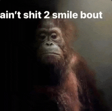 a picture of a monkey with the words " ain 't shit 2 smile bout " below it