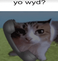 a cat is talking on a telephone with the words yo wyd above it