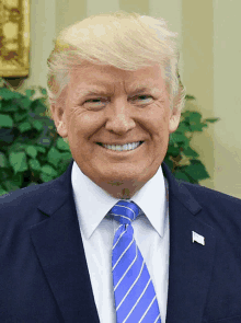 donald trump wearing a blue suit and tie smiles for the camera