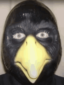 a close up of a person wearing a black bird mask