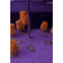 a group of stuffed chickens are standing next to each other on a purple carpet .