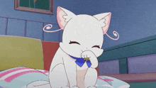 a white cat with a blue bow on its neck