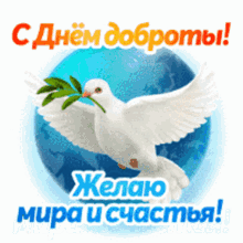 a greeting card with a white dove holding a green branch