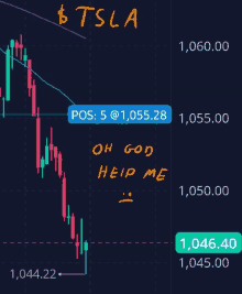 a stock chart for tesla with a smiley face and the words oh god help me