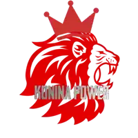 a red lion with a crown and the words konina power