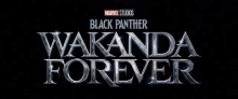 the logo for black panther wakanda forever is a marvel studios movie .