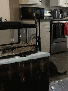 a kitchen with a microwave and a vacuum cleaner on the counter