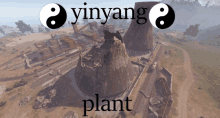 a picture of a yinyang plant with a yinyang symbol