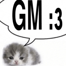 a cat is laying down with a speech bubble that says gm : 3 .