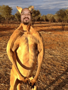 a picture of a kangaroo with a man 's face on it