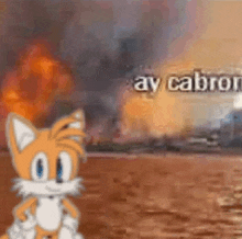 a cartoon cat is standing in front of a fire .