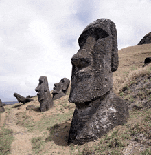 a statue of a man with a beard is standing in the grass