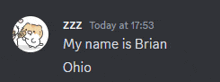 a screenshot of a discord message that says my name is brian ohio