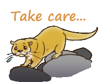 a cartoon of an otter standing on a rock with the words take care above it