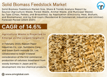 a poster for solid biomass feedstock market shows a picture of wood chips