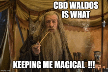 a man with a beard smoking a pipe with the caption cbd waldos is what keeping me magical !!!