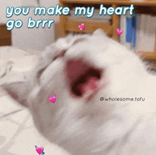 a white cat is laying on a bed with its mouth open and the words " you make my heart go brrr " behind it