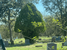 a cemetery with many graves and a tree in the middle of it