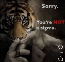 a picture of a tiger with the words sorry you 're not a sigma on the bottom