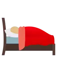 a person is laying in a bed with a red blanket and pillows