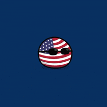 a logo for danky 's trading hub with an american flag ball