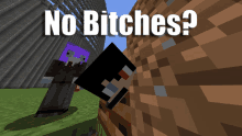 a screenshot of a video game with the words " no bitches " on the bottom