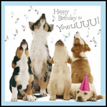 a birthday card with a group of puppies singing happy birthday to yowuuuu