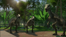 a group of dinosaurs are standing in a jungle