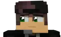 a 3d model of a minecraft character with brown hair and green eyes