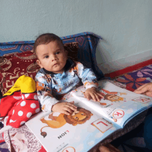 a baby is reading a book with the word lion on the cover