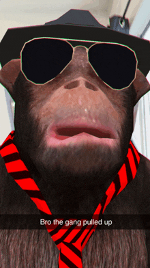 a monkey wearing sunglasses and a red tie has a caption that says bro the gang pulled up