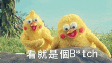 two stuffed chickens are sitting next to each other on a rock with chinese writing on it .