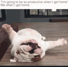 Dog Tired GIF