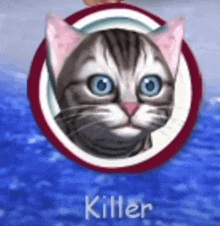 a cat with blue eyes is in a red and white circle with the word killer below it