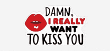 a damn i really want to kiss you sticker with a red lip