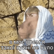 a picture of a monkey with a scarf around its head with a caption that says " в моє время "