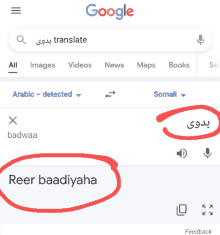 a screenshot of a google search for translate with a red circle around the word reer