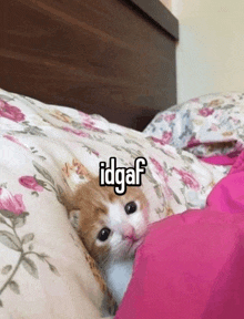 a kitten is laying on a bed with the word idgaf written on it