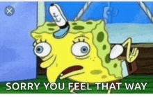 a cartoon of spongebob that says " sorry you feel that way "