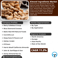 a poster for the almond ingredients market with a picture of almonds on it