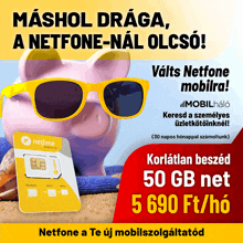 an advertisement for netfone shows a piggy bank and a sim card