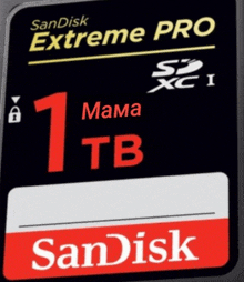 a sandisk extreme pro sd card with 1 tb of storage