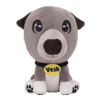 a stuffed dog with a yellow tag that says vash