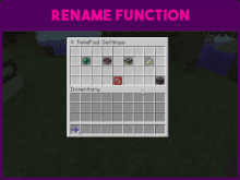 a screenshot of a rename function on a minecraft server